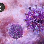 Shingles Vaccination Tied to Drops in Cardiovascular Events, Dementia, Death