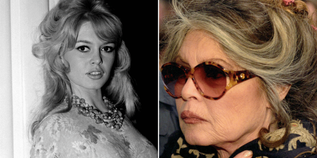Brigitte Bardot, 91, rushed to hospital with ‘serious’ illness as well wishes flood in for French film icon
