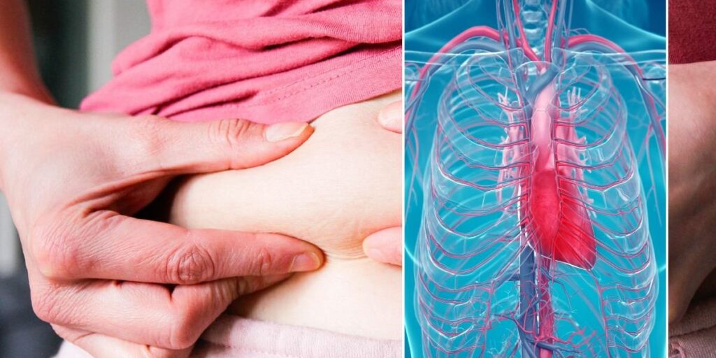 ‘Wake-up call’ as silent artery damage linked to hidden ‘kind of fat’