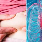 Home Office was told LAST WEEK about potential plans to ban Maccabi Tel Aviv fans, says police unit